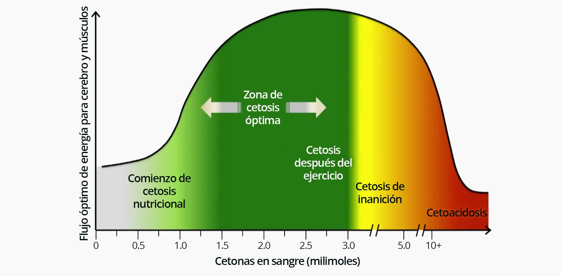 Si cetosis no estoy en saber como